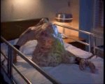 Basket Case 2
