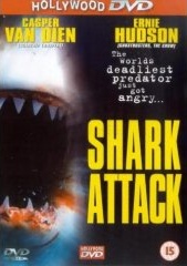Shark Attack