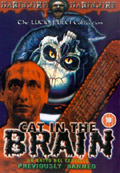 Cat in the Brain