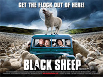 Weresheep and WETA; An interview with <b>Black Sheep</b> director Jonathan King