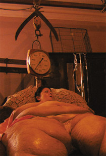 <b>Feed</b> to be released in the UK February 2006