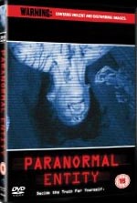Paranormal Entity