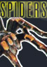 Super Special Saturday Night Spider Fever