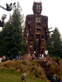 First pics of <b>The Wicker Man</b>