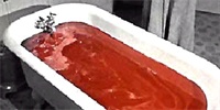 Top Ten Bath Tub Horrors
